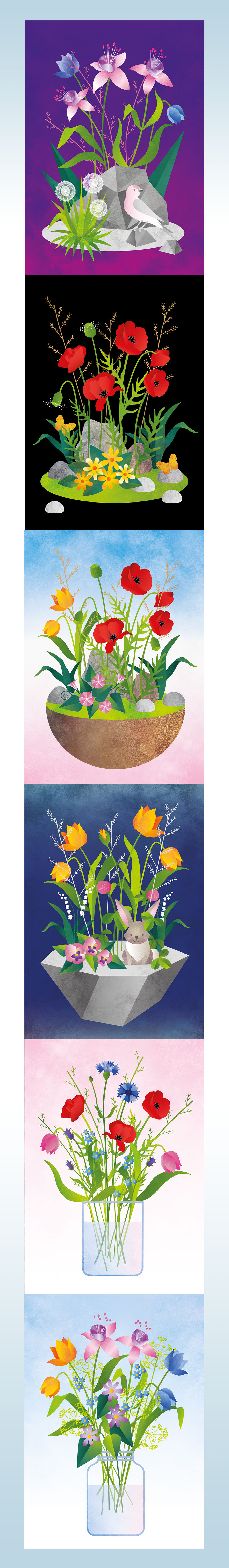 Illustration _Project _Flowers2